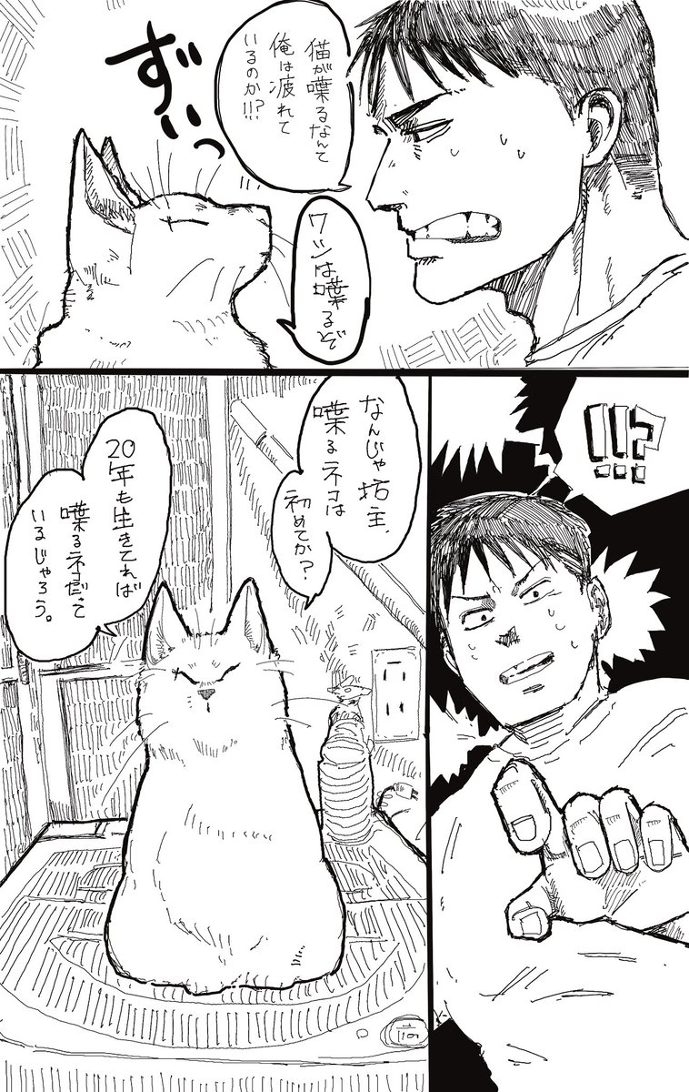 Darui🔞鵺💪 tweet media