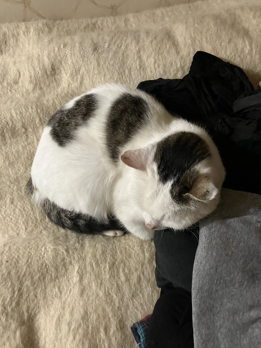 dundeey (@dundeey) on Twitter photo 