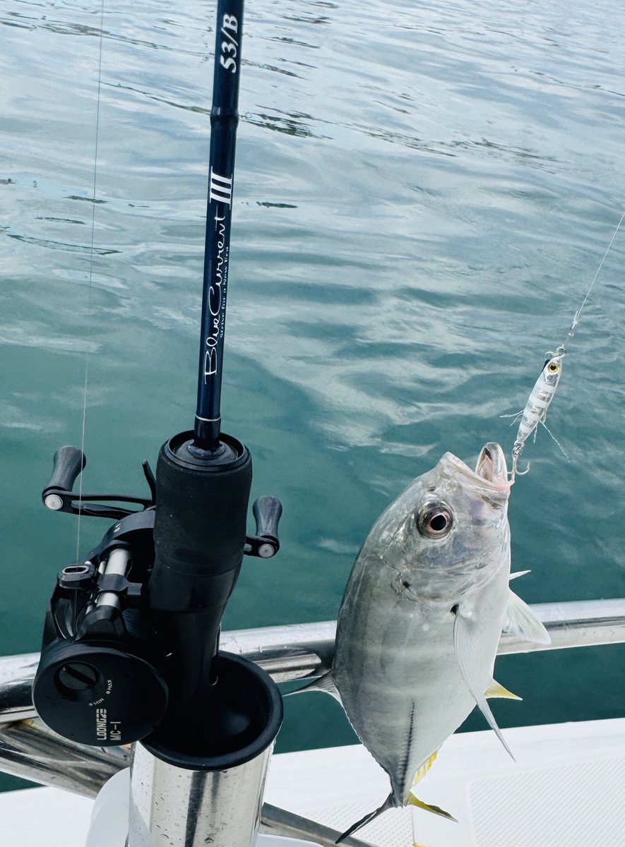 Yuki (@yuki530931) / Posts / X