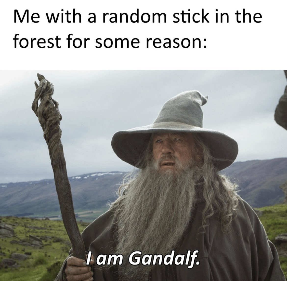 TolkienWorldG's tweet image. Anyone else done this?