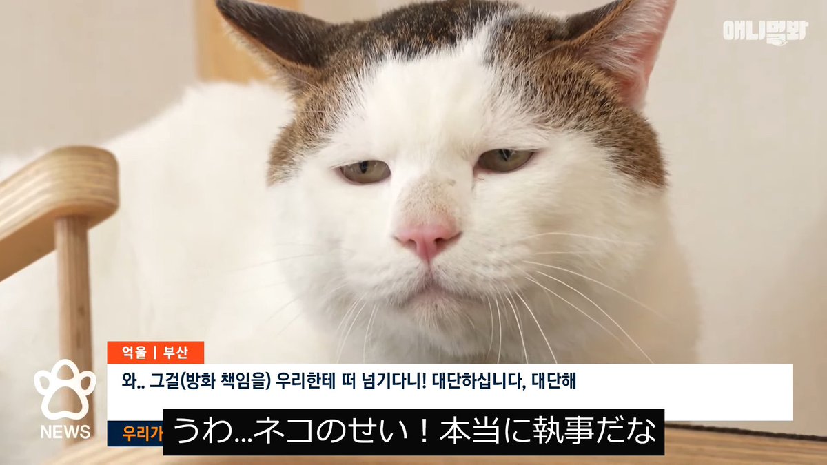 あーぼん様 あくりょ on X