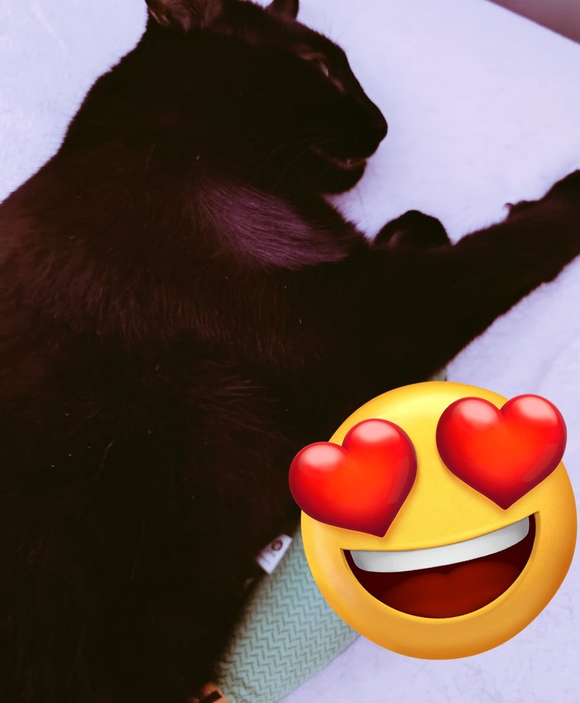 musicvsartstuff's tweet image. 🕹️ Hiii talented #gamedevs! I hope everyone is having a good Saturday 💜
Here's a #screenshotsaturday post!
Reply to this post updates for your #games (any game links, photos, videos etc) 🎮
HaPpY CaTuRdAy! 😸
💜 like
🗨️ comment
🔄 repost!
#indiegame #saturdayscreenshot…