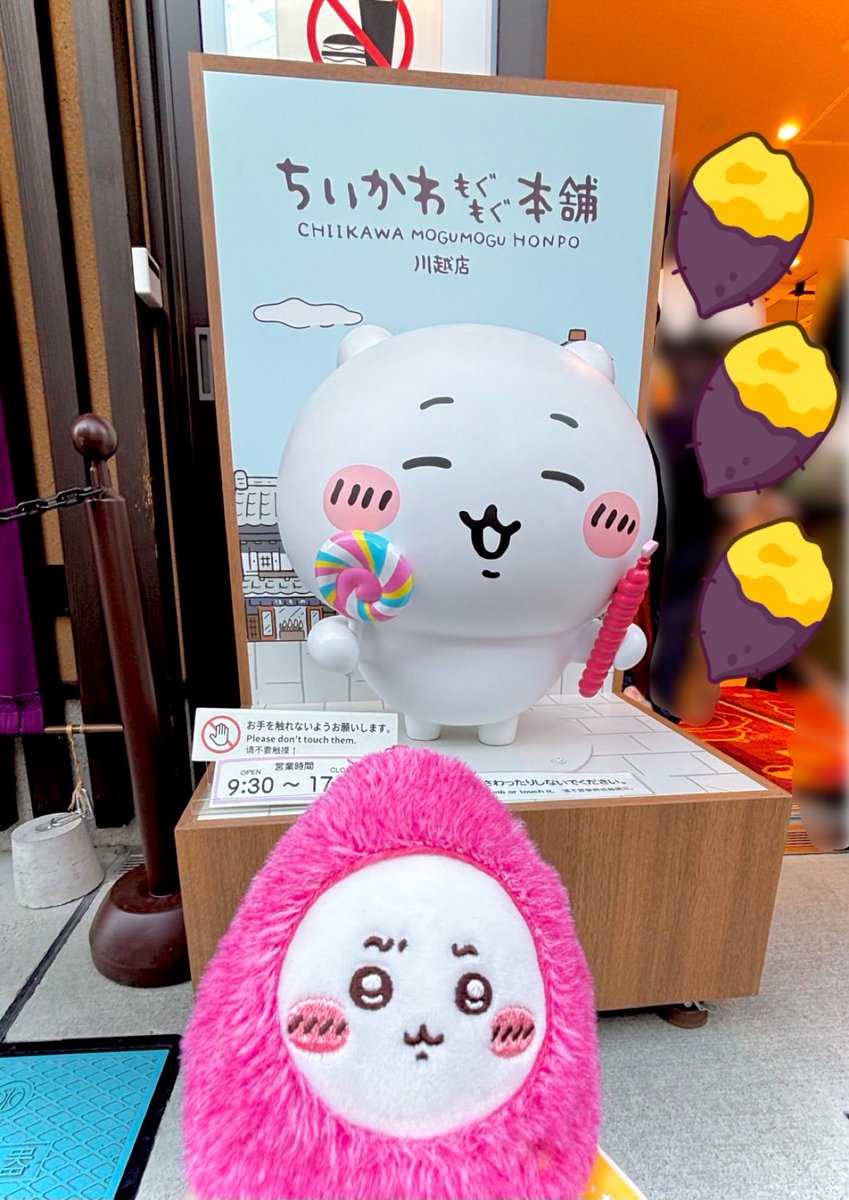 ㍉かま (@chiikama0501) / Posts / X