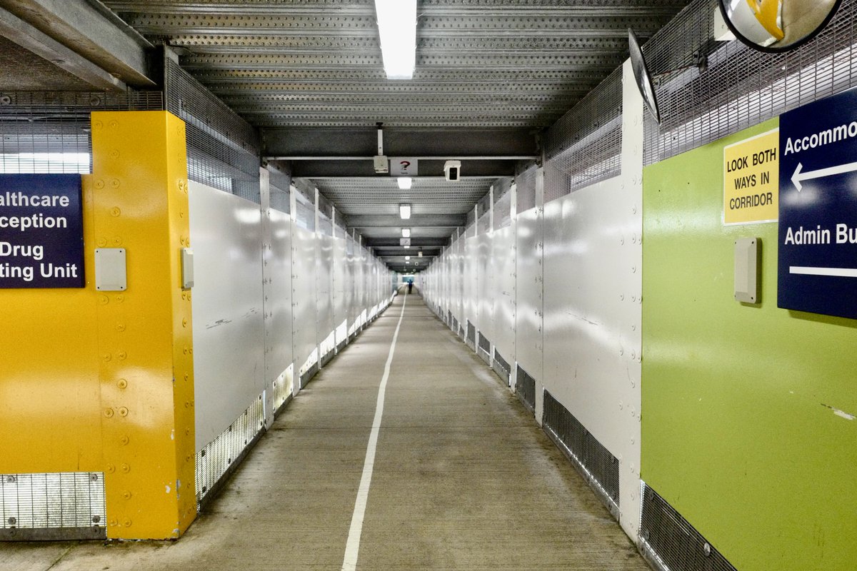 Venetia Menzies tweet media