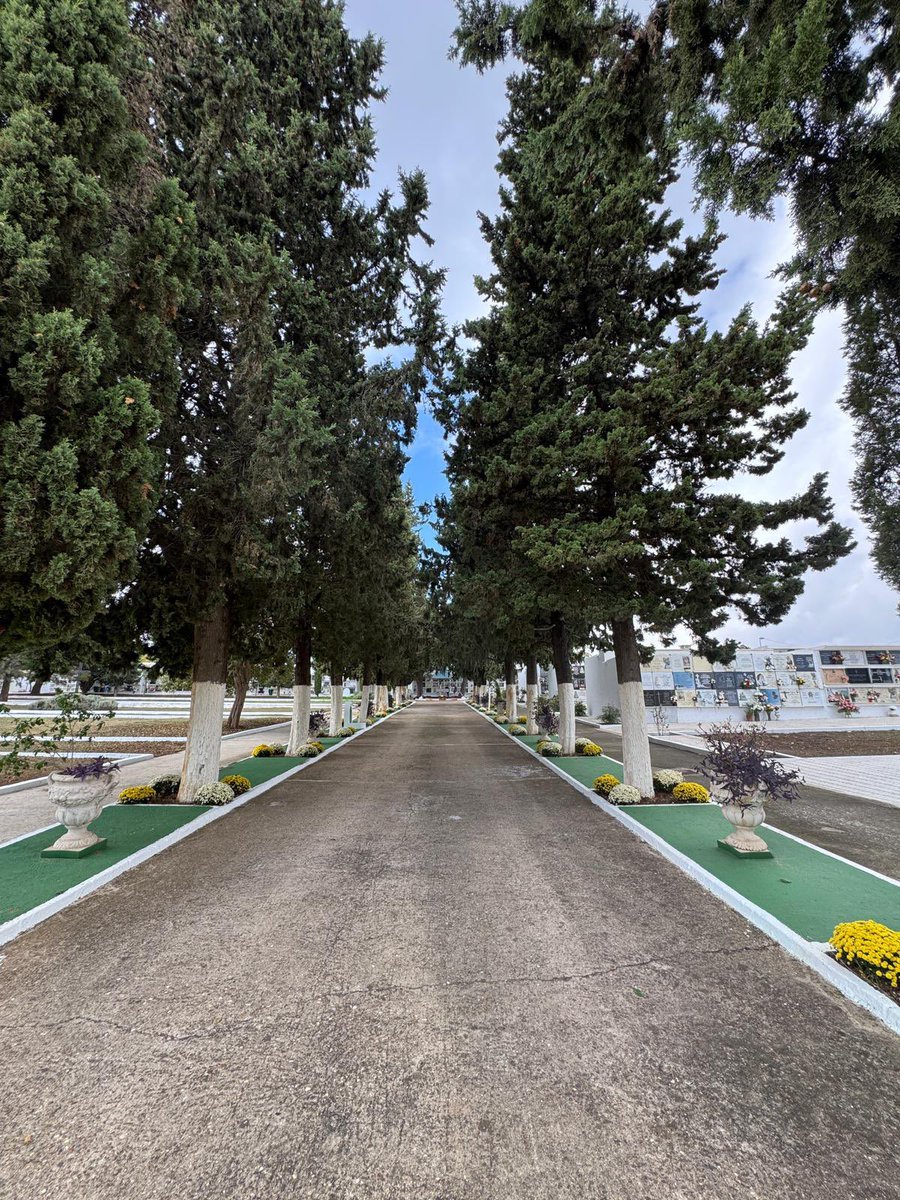 En el Día de Todos los Santos, he querido acercarme al Cementerio Municipal para rendir homenaje a quienes ya no están y acompañar a tantos tomareños que hoy se reúnen en torno al recuerdo y al cariño por sus seres queridos.