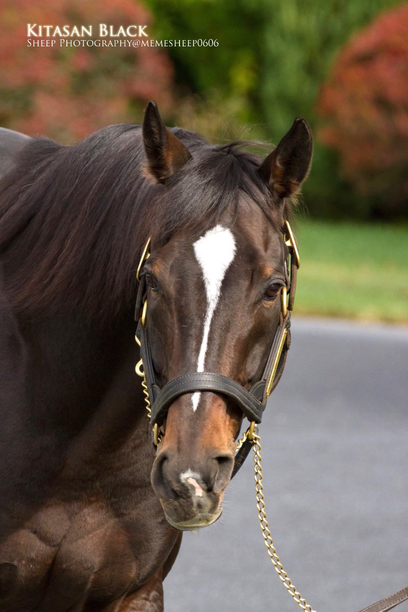 モッちゃん (@nib88vldu) / Posts / X