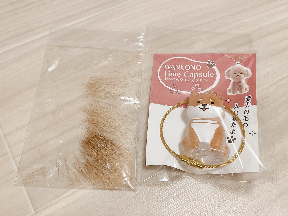 きなこページ きなこ on X