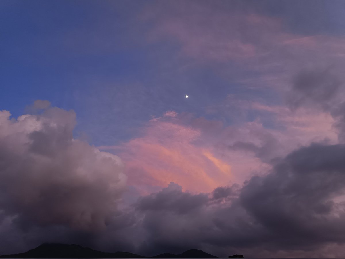 10xgaurav's tweet image. 