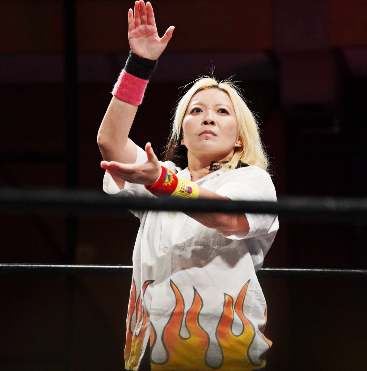 ❀ひろっぺ❀ ひろっぺ💙🐾 on X