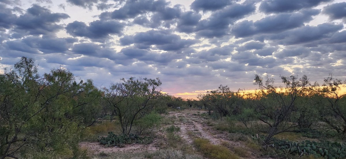 Good morning. This will be my view for a few days. Blessed!