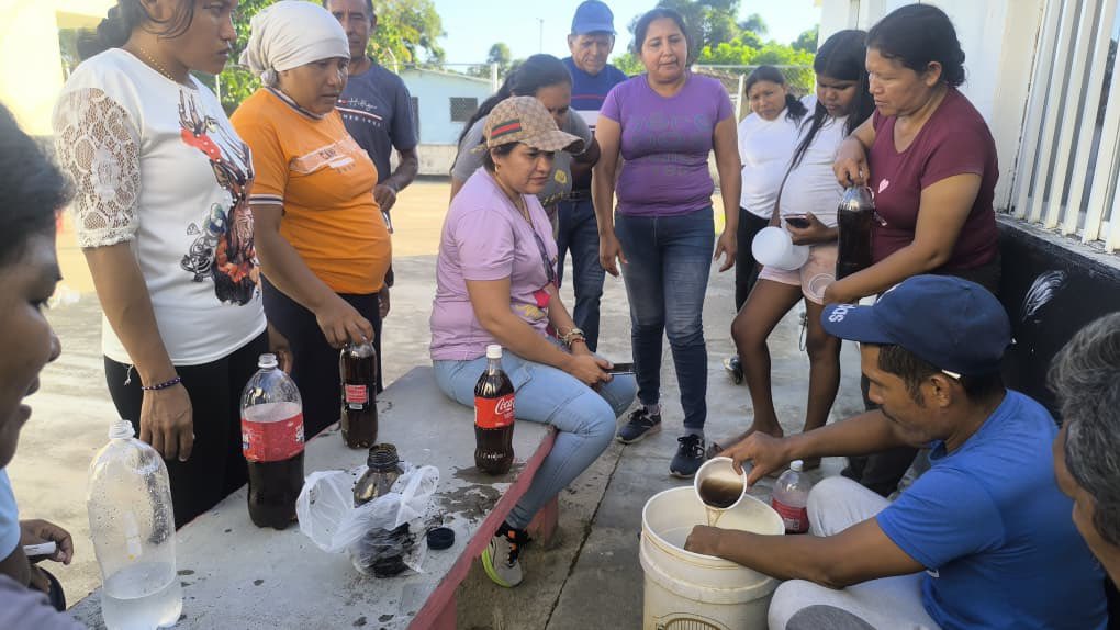 #BuenosDias Estamos muy contentos de ver como en la comunidad de Toledo en Delta Amacuro sus habitantes se han dedicado a sus proyectos de huertos para autoabastecimiento. Los visitamos para hacer seguimiento a sus huertos y para trabajar las técnicas de elaboración de