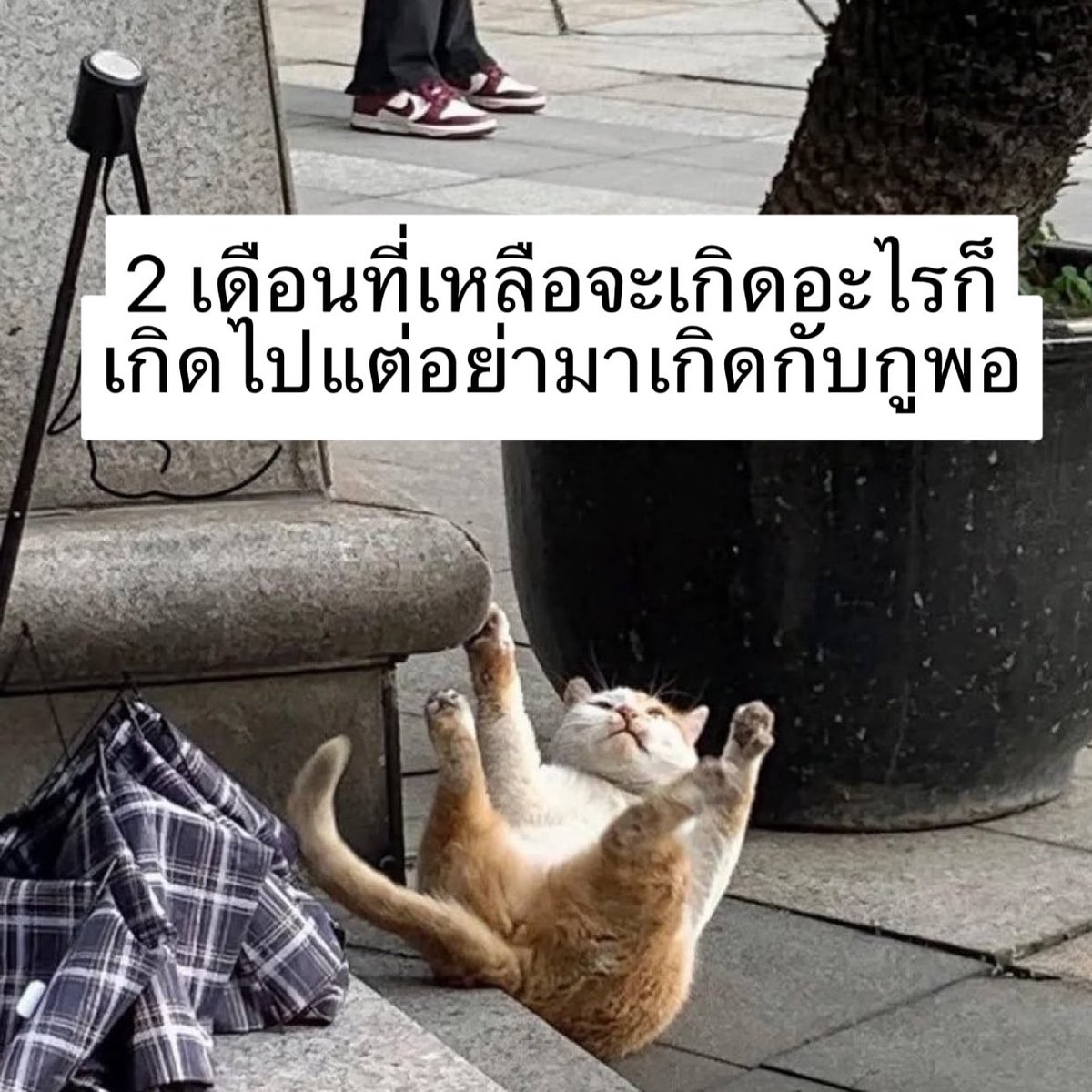 จริง 5555555