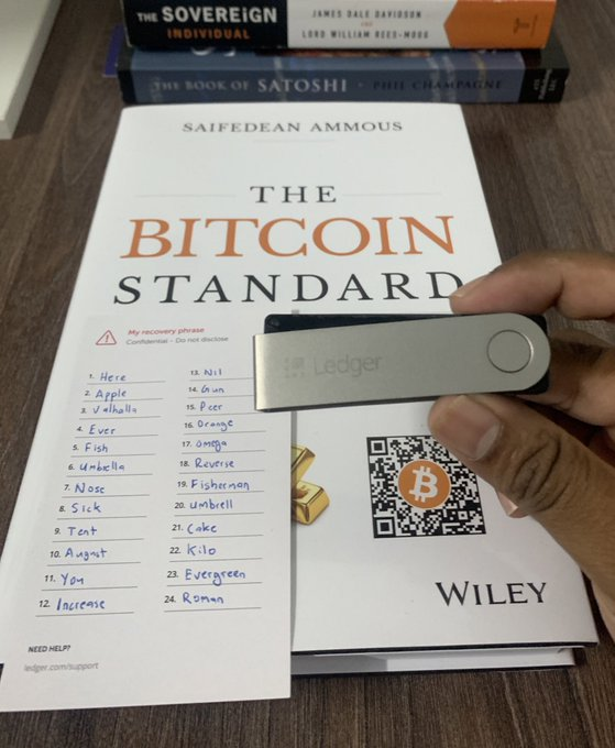 Bitcoin Teddy tweet media