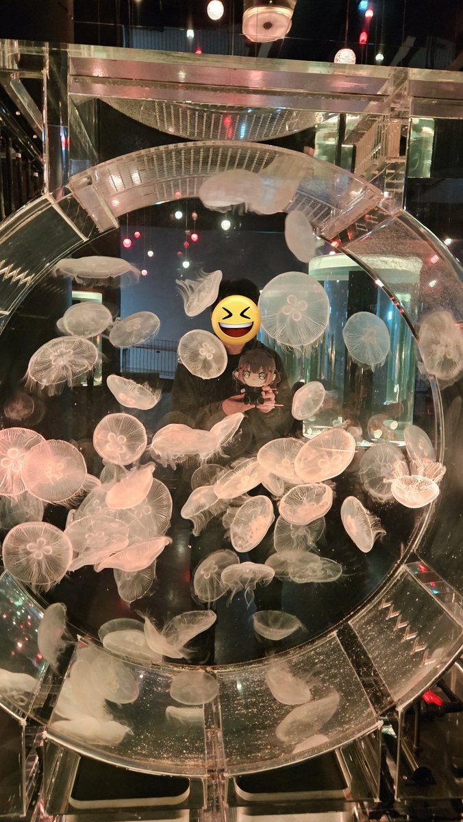 Windelse13's tweet image. マクセルアクアパーク品川で夜の素晴らしいイルカショーを楽しみました。他にも可愛い海の生き物がたくさんいましたが、やっぱり一番可愛いのはTowa様です！

#towavel