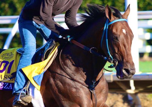 It's All Frosting on the Cake. Run Your Own Race and Have Fun Today You Beautiful Boy. We Love You, BAEZA!  💜 -R  <a href="/StablesCrk/">CRKSTABLES</a>  <a href="/HIBerrios/">Hector Isaac Berrios</a> <a href="/BreedersCup/">Breeders' Cup</a>