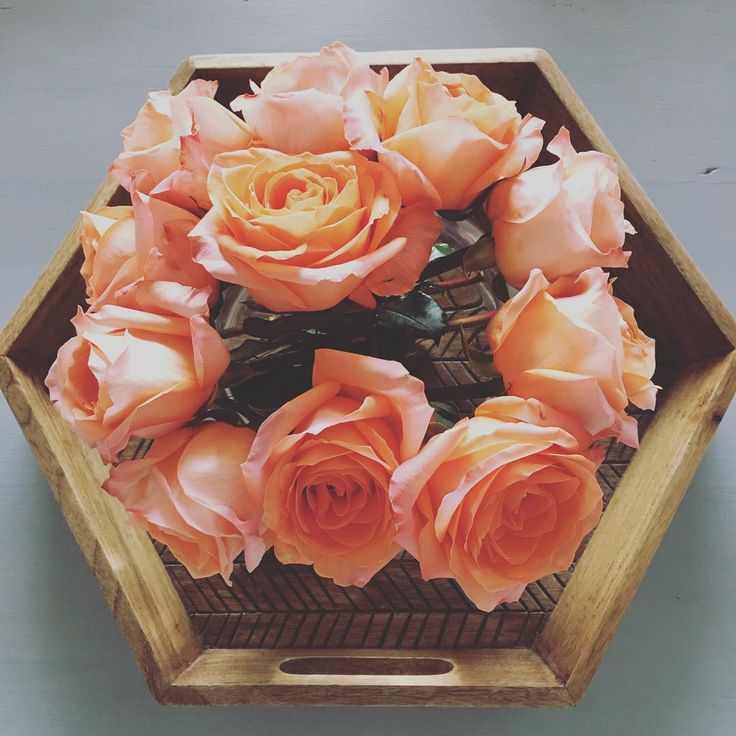 djcryptomatic's tweet image. I am streaming live on Twitch , with some afternoon slowjams for all my HEX divas ;) stake &amp;amp; chill

twitch.tv/dj_cryptomatic

tonight: slowjams &amp;amp; rare soul grooves

HEXICANS HEX
Pulsechain Pulsex
@SandyBeach_369
@pbe_84 @Hexonair1960 @PulsePirate 
@Awel0n @Axxeeon