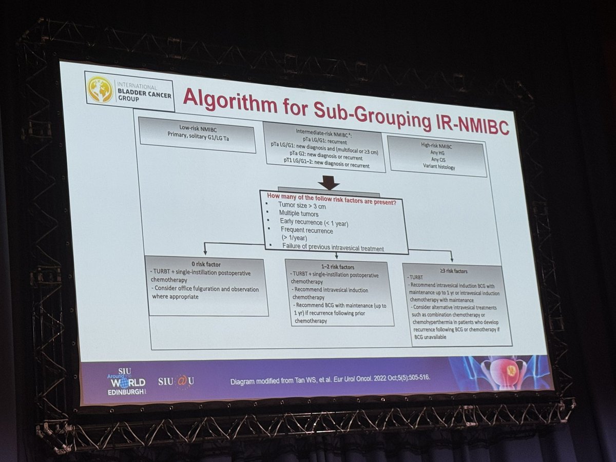 YeePei Song 🕷💙 tweet media