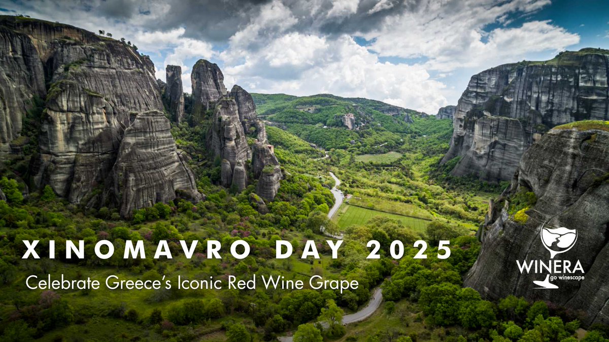 The name ‘#Xinomavro’ is derived from the Greek words xíno (ξινό) meaning ‘sour’ and mávro (μαύρο) meaning ‘black’. 🍷
Read more: tinyurl.com/49n5mre6
#Winera #Travellier #wine #tourism #XinomavroDay2025 #GreekWine #NaoussaWines #AmynteoWines #WineTourism #NorthernGreeceWines