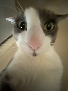 Some fucker hacked me this October this is what they look like irl I'm crying 😭