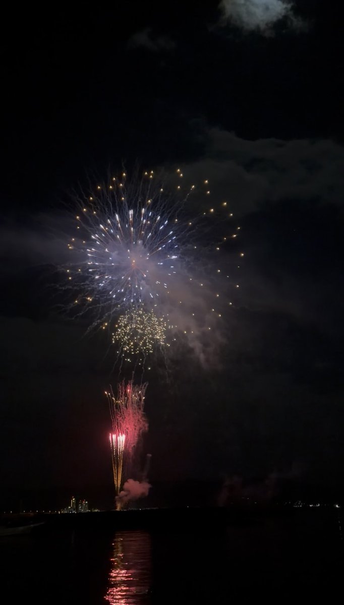 フクロウの夜会 送料無料 おしゃれ フクロウ 防水 ソーラー フクロウライト インサート