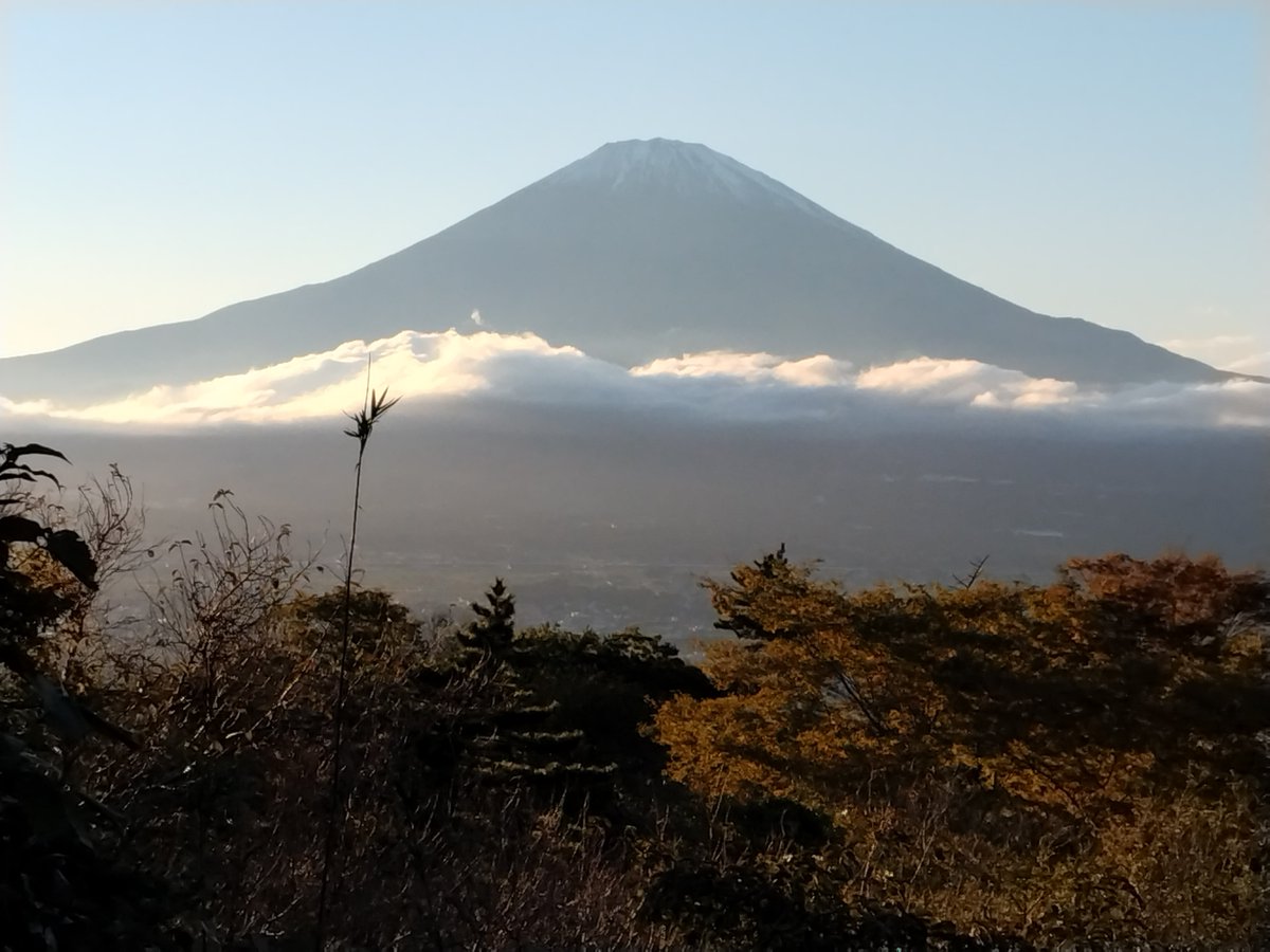 扁額　富士山 富士山／桜 – SENSUP
