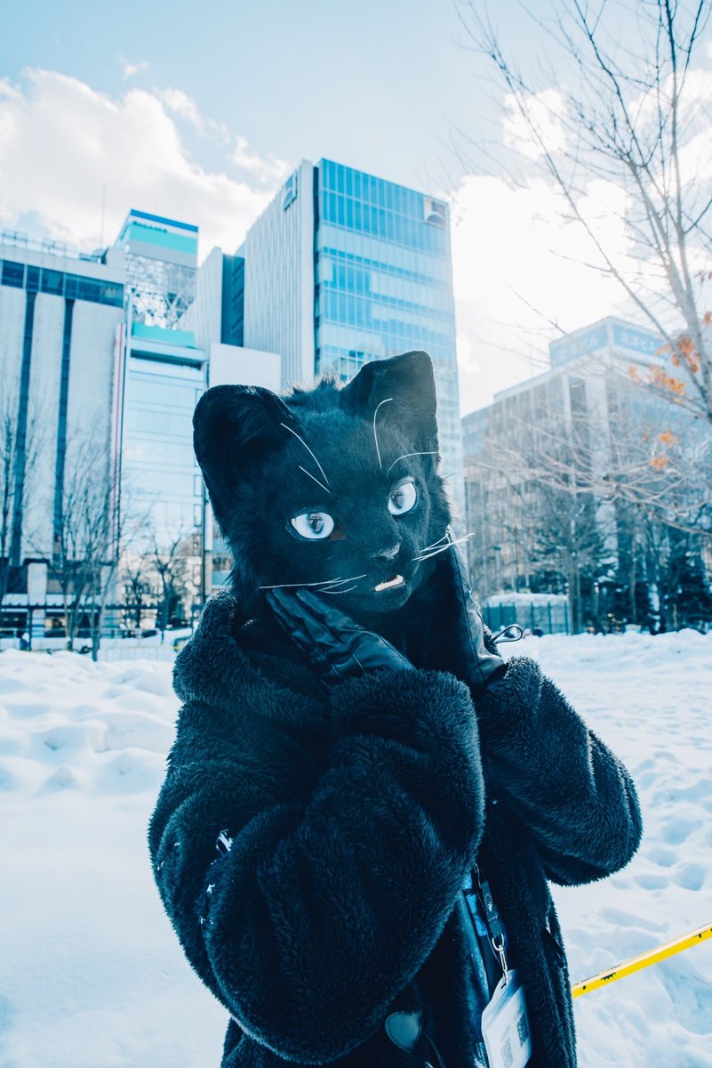 冬が来たね！嬉しい🐈‍⬛❄️

📷<a href="/nightmare_chama/">めあ</a> 
 #創造トリアノン