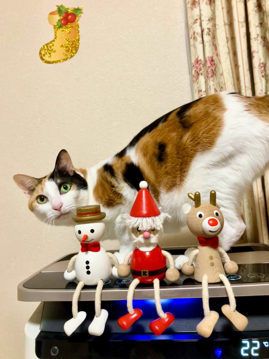 心の広い方、お願いいたします panuchi3 (@panuchi33) / Posts / X