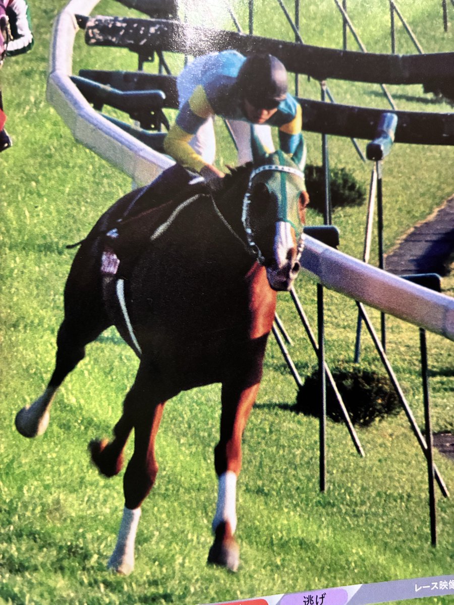 1998年の天皇賞・秋は当時入院してたこともあって忘れられない✨「競馬