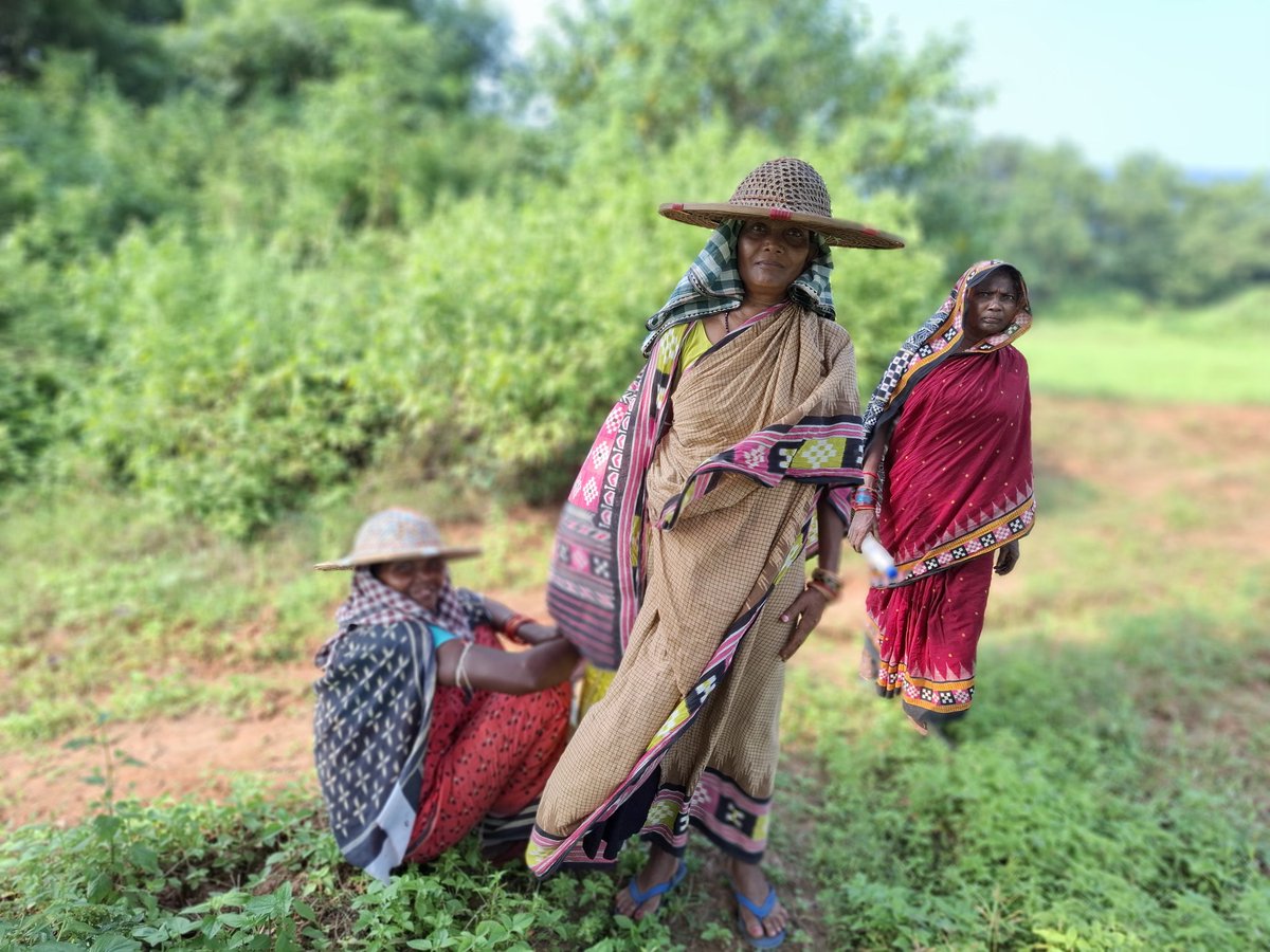 satwiky186's tweet photo. Agricultural farm labour  in Odisha https://t.co/l94Q9LFM6z