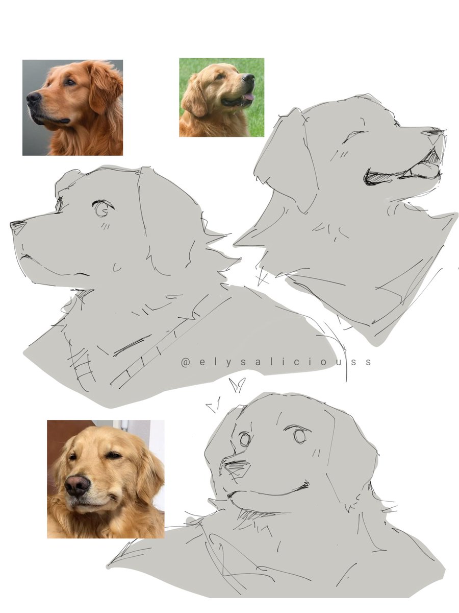 @Elysaliciouss tweet media