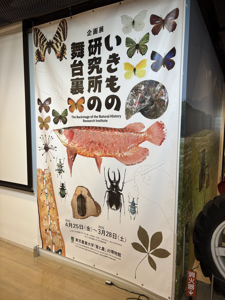 虹カラスページ PEGASUS METALLIZZATO Clear Curved Terminal Wavy Metallised | Glass