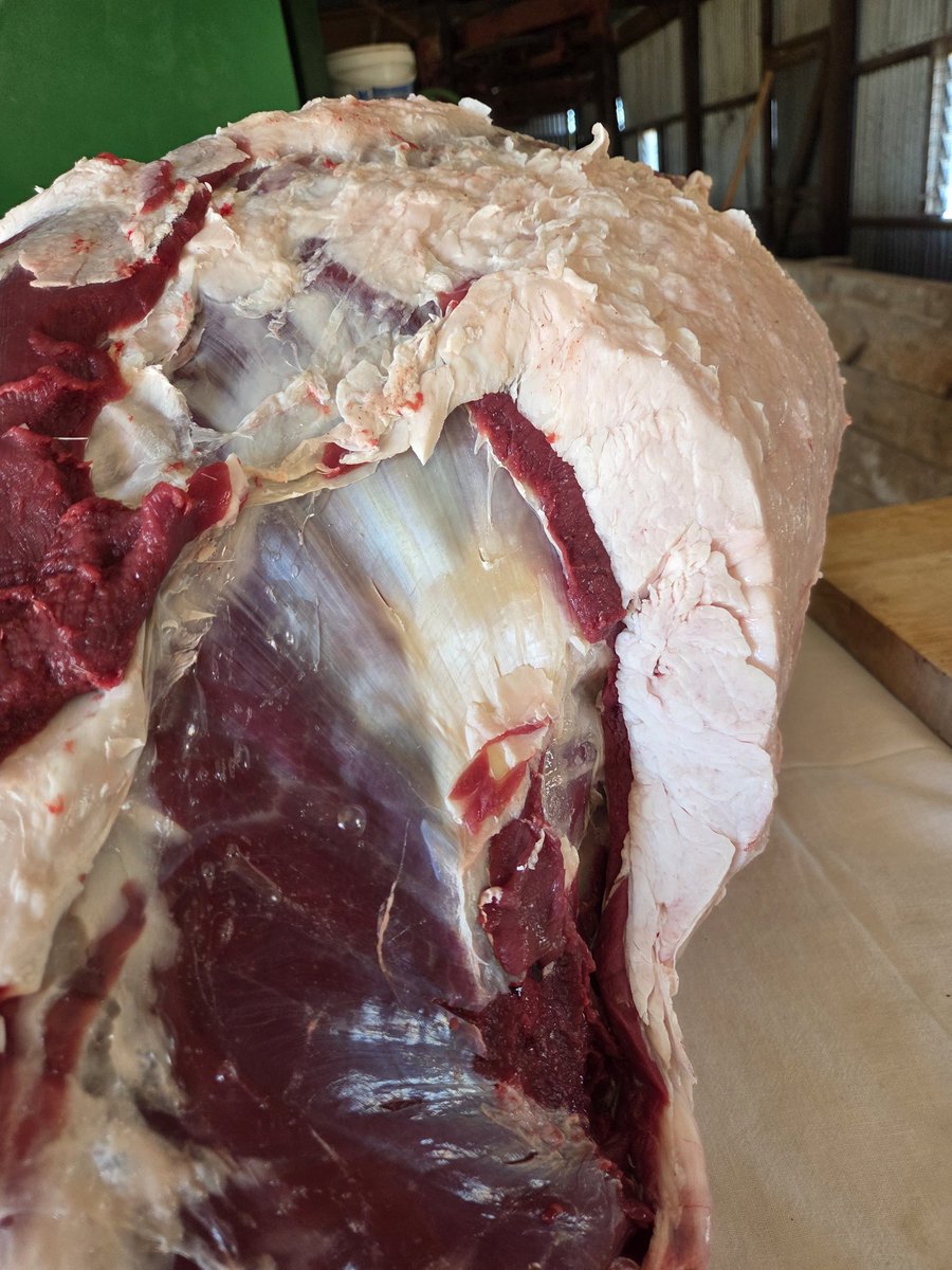 Leighton Wilksch tweet media