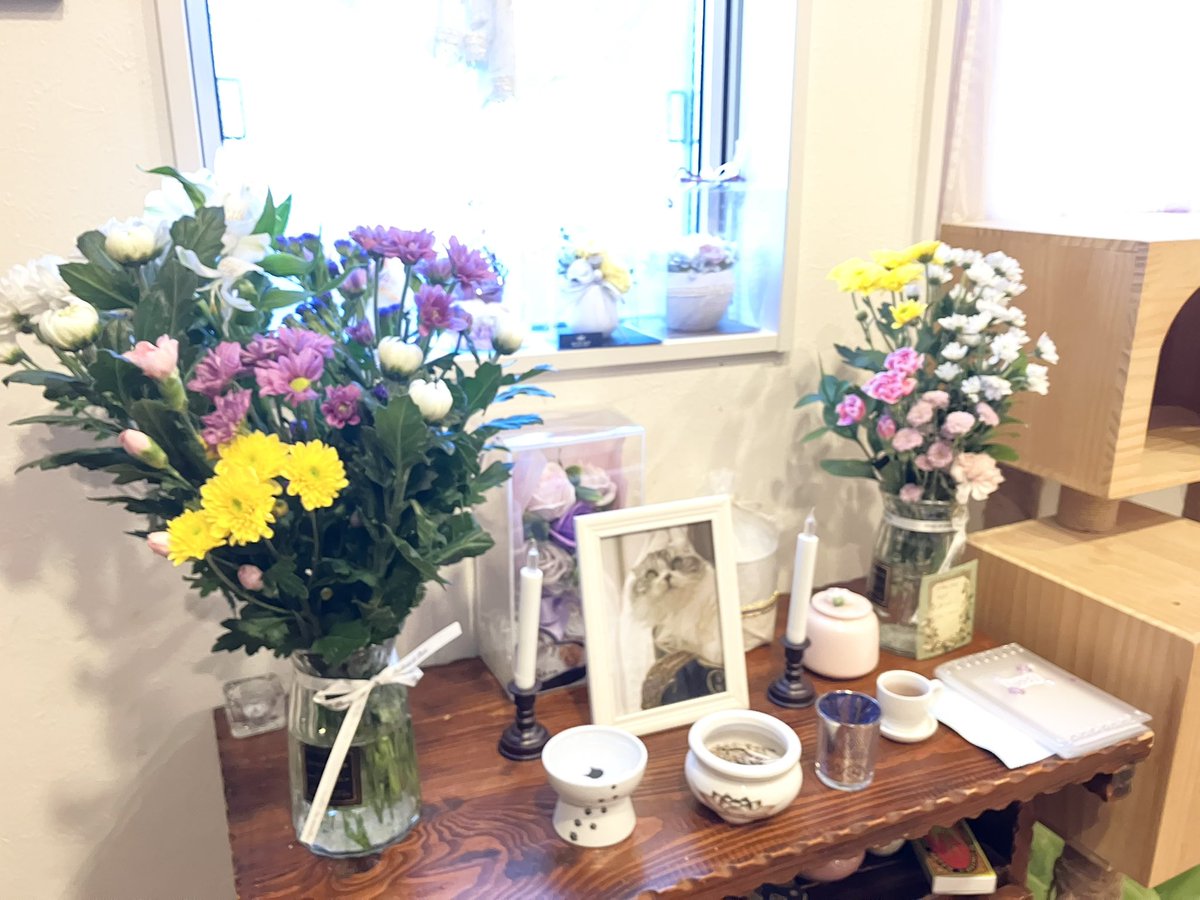 mimii様 ページ Micrographic(妹-Mai-) on X