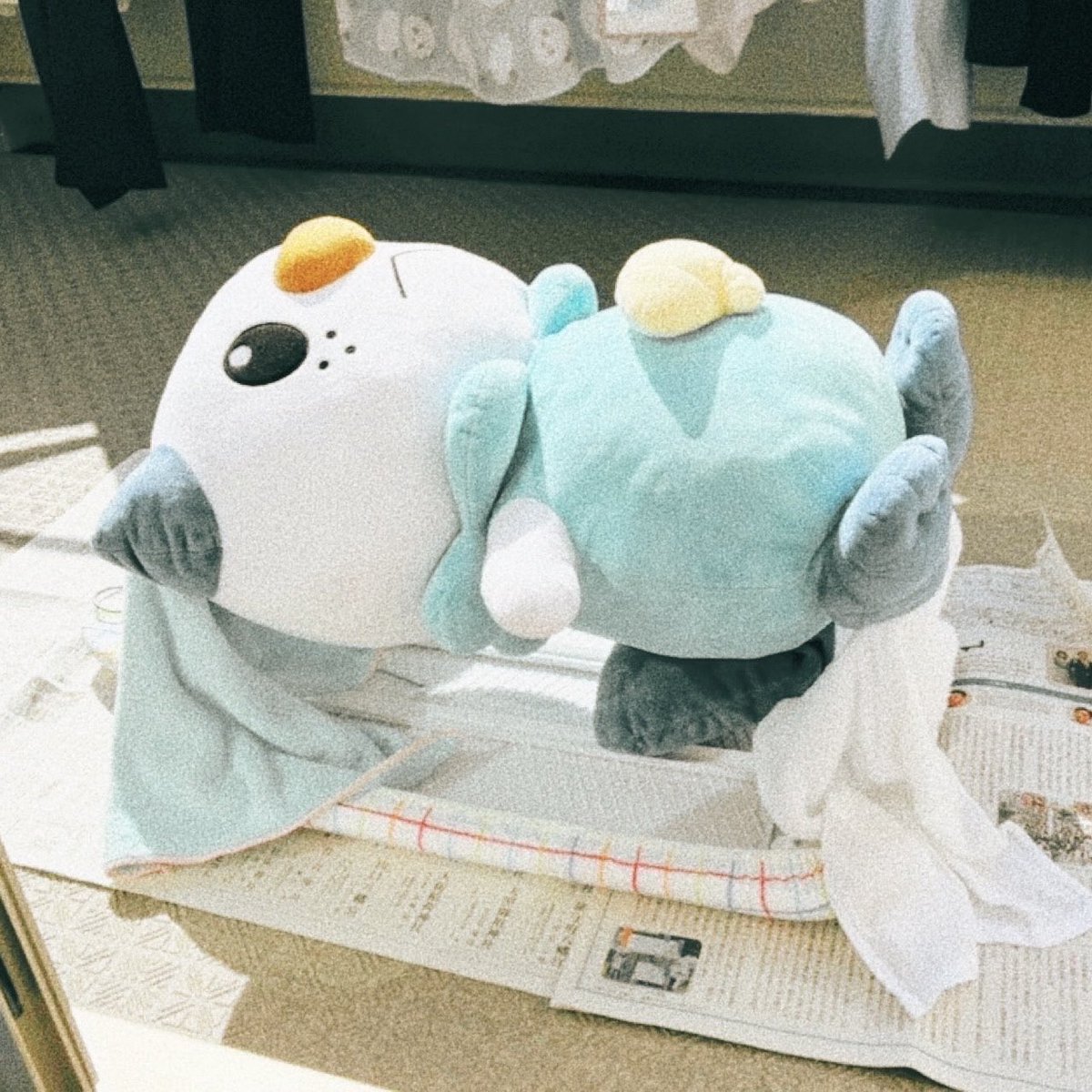 oshawott2286's tweet photo. お風呂記録🫧
大きなミジュマルさん、年1回はお風呂に入れるようにしてます（表面を少し洗うだけですが）
ちなみに3枚目は初めて洗った時の天日干し中😂
家が変わったのもありますが、流石に逆さは可哀想に思って、今はアイロン台ひっくり返し作戦で日光浴させてます☀️
#ポケぬい #ぬい撮り #ぬい活 https://t.co/QK0OMyw9sJ