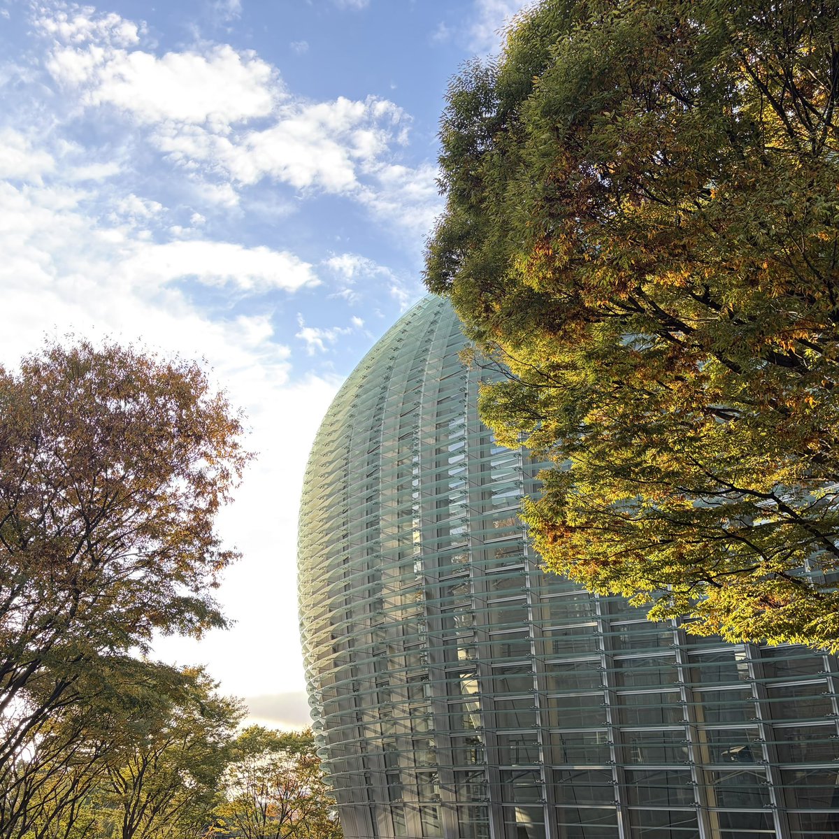 『Gallery光彩　洞』　絵画 Amazon.co.jp: Utagawa Kuniyoshi Honcho Musha Mirror