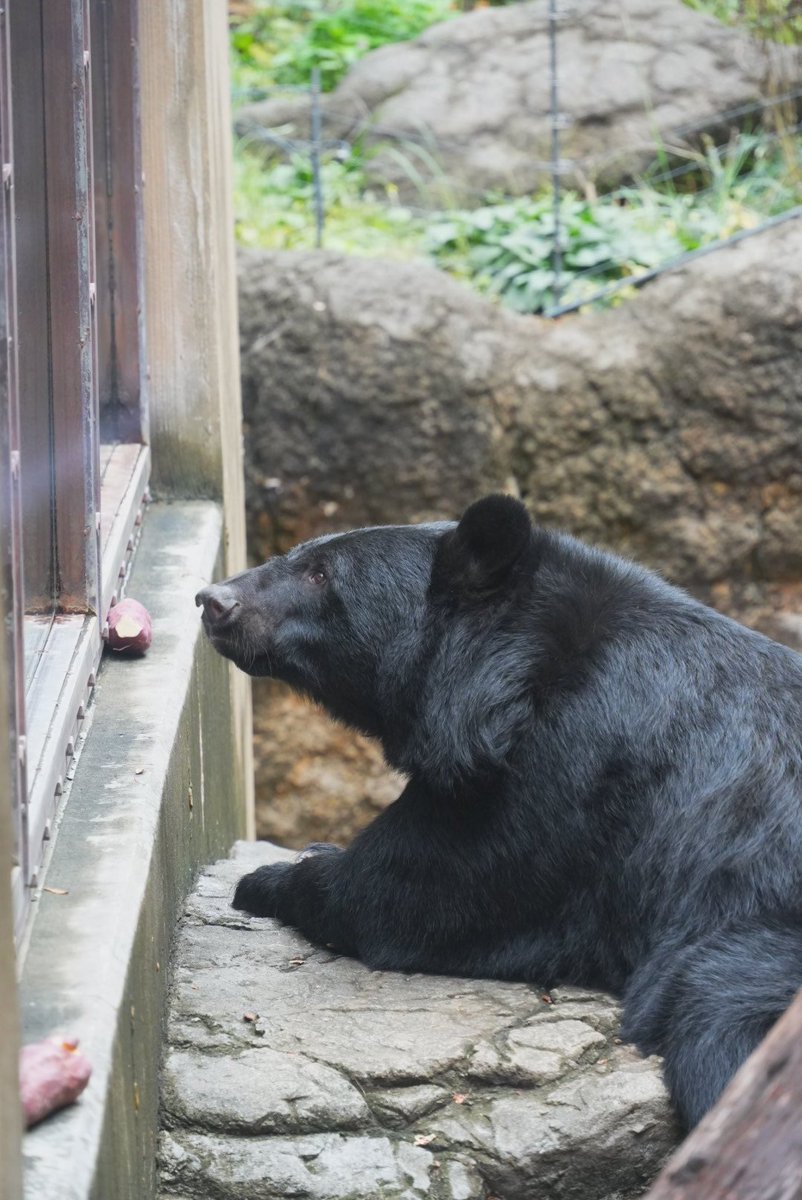 恵香 on X 恵香 on X