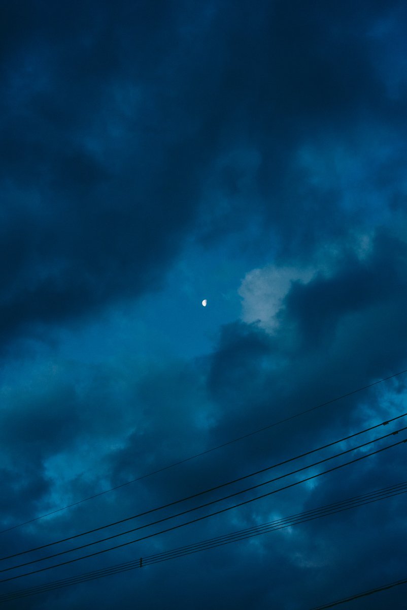 shintake_photo's tweet image. Stillness