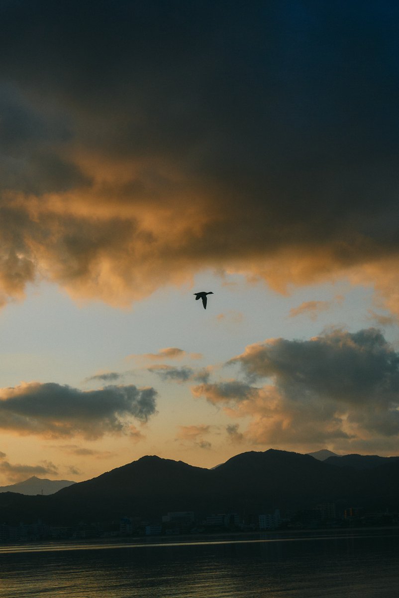 shintake_photo's tweet image. Stillness