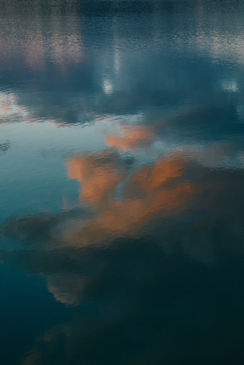 shintake_photo's tweet image. Stillness