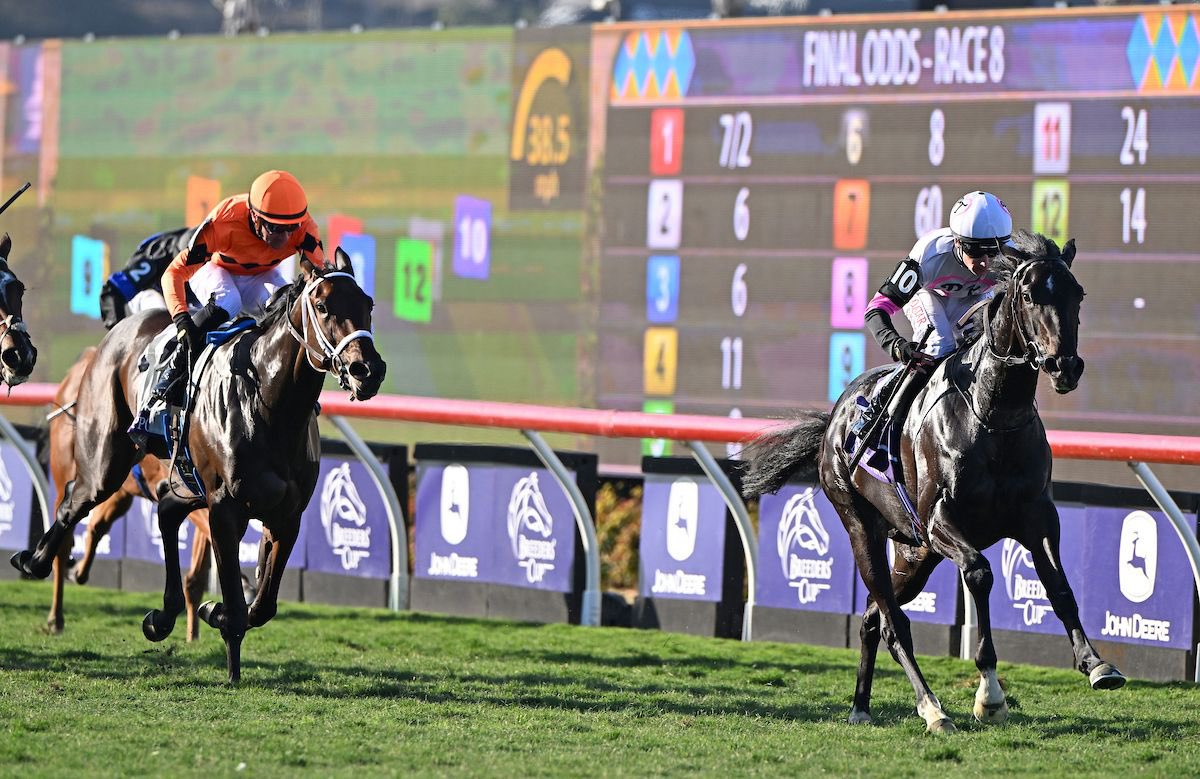 AvenueBstock's tweet image. Congratulations to Medallion Racing, Parkland Thoroughbreds, Reeves Thoroughbred Racing, and Lissa Ann McNulty, as Balantina blitzes the field to land the Grade 1 Breeders' Cup Juvenile Fillies Turf under jockey Oisin Murphy, marking a first Breeders’ Cup victory for trainer…