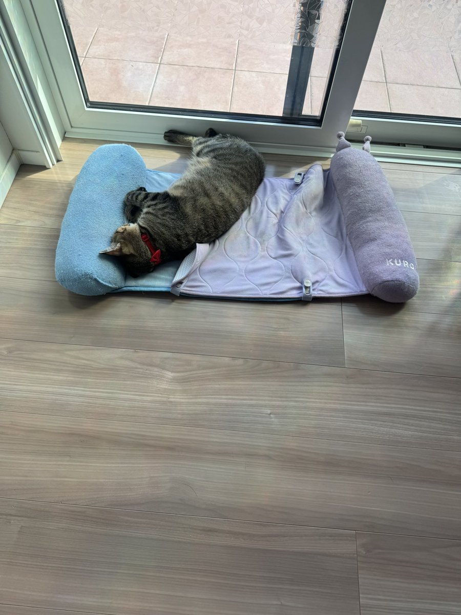 コメント逃げ① Solved: The Person Who Bought This Needs to Sign in Xbox