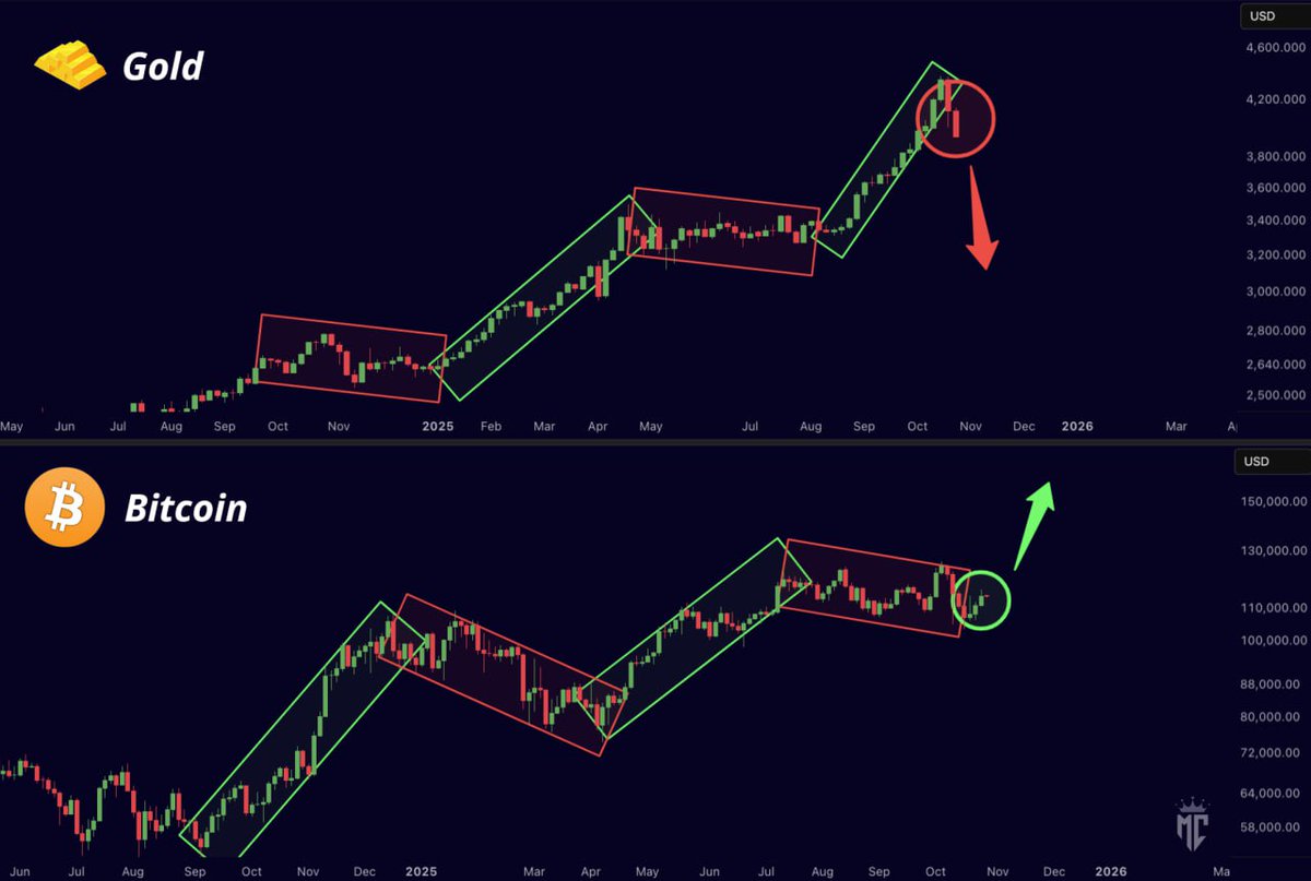 misterrcrypto's tweet image. First Gold, then Bitcoin.

Happens every time.

This time won’t be different!