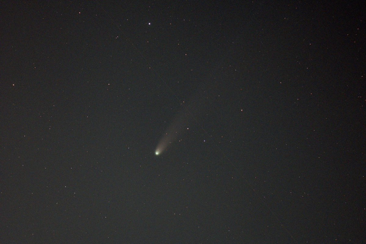 やっと会えたレモン彗星
とりあえず30秒撮って出し