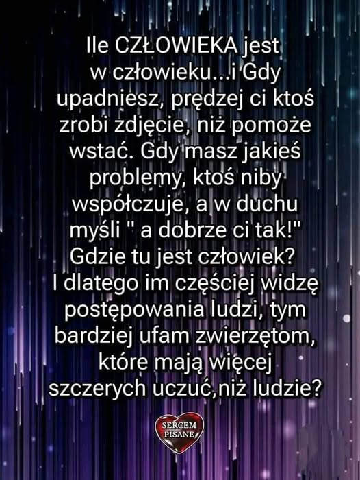 andzoj2's tweet image. 