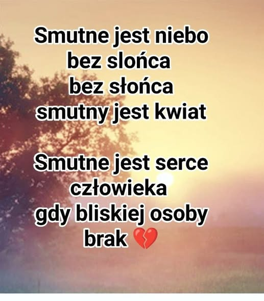 andzoj2's tweet image. 