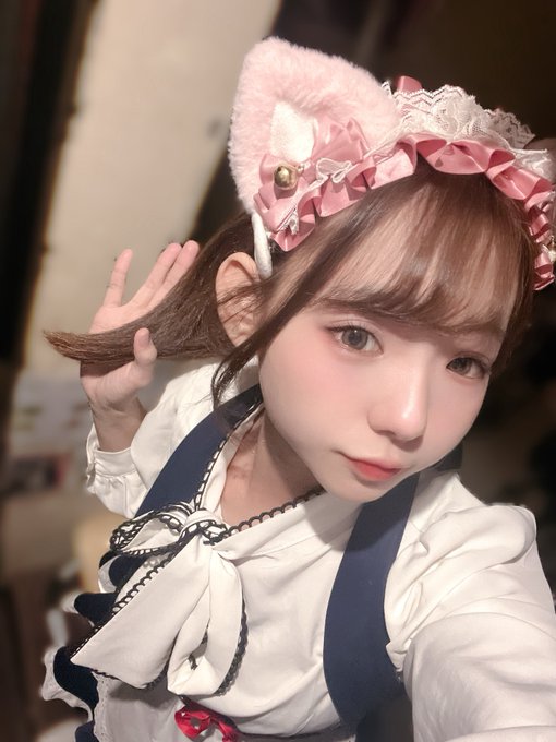 みけねこカフェ秋葉原店のツイート