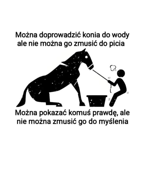 andzoj2's tweet image. 