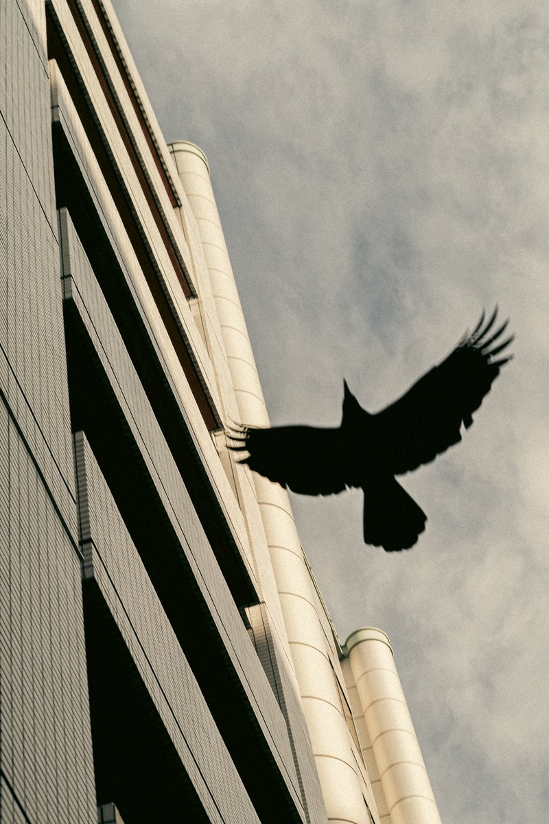 あくび / akubi (@ikiru_mouhu) on Twitter photo 