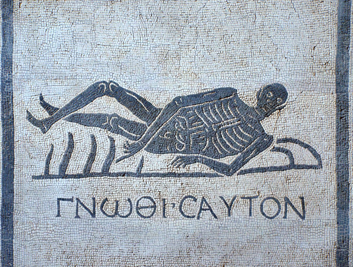 carolemadge's tweet image. A memento mori (remember that you have to die) mosaic featuring a skeleton with the Greek inscription Γνῶθι σαυτόν (know yourself). From the excavations at the convent of San Gregorio, Via Appia. Dated to the 3rd century AD. 
Baths of Diocletian Museum, Rome.