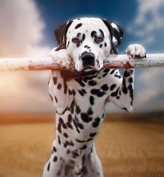 A veces se aprende 
  Que no sabías ...Nada

#microcuento 
#microcuentos
#FelizSabado